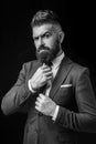 Bow-tie fashion. Bearded man in dark grey suit. Man in classic suit, shirt and tie. Rich man model. Luxury classic suits Royalty Free Stock Photo