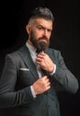 Bow-tie fashion. Bearded man in dark grey suit. Man in classic suit, shirt and tie. Rich man model. Luxury classic suits Royalty Free Stock Photo