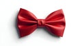 Bow Tie Isolated on White Royalty Free Stock Photo