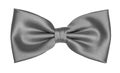 Bow tie on white background Royalty Free Stock Photo