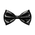 Bow on Transparent Background - Ai Generated Royalty Free Stock Photo