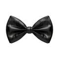 Bow on Transparent Background - Ai Generated Royalty Free Stock Photo