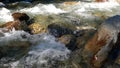 Bow valley banff colors of autumn rapids Royalty Free Stock Photo