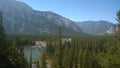 Bow valley banff mountain tree forest