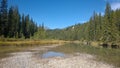 Bow valley banff river Royalty Free Stock Photo