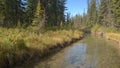 Bow valley banff river Royalty Free Stock Photo