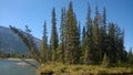 Bow valley banff river Royalty Free Stock Photo