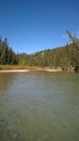 Bow valley banff river Royalty Free Stock Photo