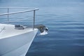 Bow of a white sailing yacht against the blue sea with anchor at the bow. copy space, selective focus, narrow depth of field Royalty Free Stock Photo