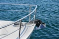 Bow of a white sailing yacht against the blue sea with anchor at the bow. copy space, selective focus, narrow depth of field. Royalty Free Stock Photo