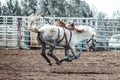 Bowden, Alberta, Canada, 26 July 2019 / Moments from the Bowden Daze, the town`s rodeo. Bronco riding, wild horse bucking and Royalty Free Stock Photo