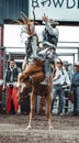 Bowden, Canada, 27 july 2019 / Cowboy and wild horse during a bronco riding exihibition in the Bowden Daze, the town rodeo. Royalty Free Stock Photo