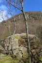 Bowder Stone, Borrowdale, Cumbria, England Royalty Free Stock Photo