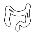 Bowel, colon, proctology line icon. Outline vector Royalty Free Stock Photo