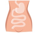 Bowel illustration