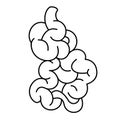 Bowels intestine vector icon