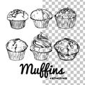 Line art muffins on transparent background Royalty Free Stock Photo