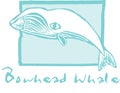 Bowhead Whale Royalty Free Stock Photo