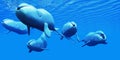 Bowhead Whale Pod Royalty Free Stock Photo