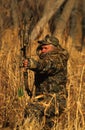 Bowhunter at Full Draw Royalty Free Stock Photo