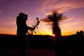 Bowhunter Glassing in Sunset Royalty Free Stock Photo