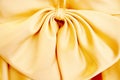 Bowknot on dress Royalty Free Stock Photo