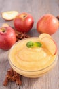 Bowl of apple sauce Royalty Free Stock Photo