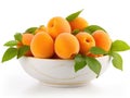 Bowl with appricots and green leaves Royalty Free Stock Photo