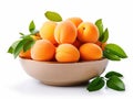 Bowl with appricots and green leaves Royalty Free Stock Photo