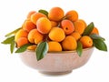 Bowl with appricots and green leaves Royalty Free Stock Photo