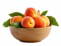 Bowl with appricots and green leaves Royalty Free Stock Photo