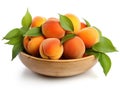 Bowl with appricots and green leaves Royalty Free Stock Photo