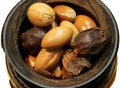 Bowl with argan seeds for the production of beauty cosmetics on