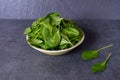 A bowl with baby spinach leaves on dark stone background. Royalty Free Stock Photo