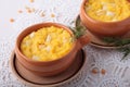 Bowl of baked polenta with cheese Royalty Free Stock Photo