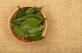 Bowl of bay leaves on burlap jute canvas Royalty Free Stock Photo