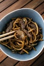 Bowl of beef lo-mien with vegetables Royalty Free Stock Photo