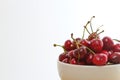 Bowl of bing cherries against white background