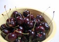 Bowl of black cherries Royalty Free Stock Photo