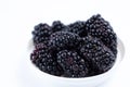 bowl of blackberries on white background Royalty Free Stock Photo