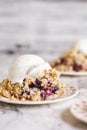 Bowl of Blackberry Blueberry Cobbler with Ice Cream