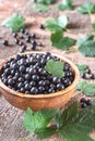 Bowl of blackcurrant Royalty Free Stock Photo