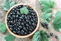 Bowl of blackcurrant Royalty Free Stock Photo