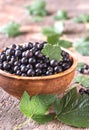 Bowl of blackcurrant