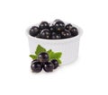 Bowl with blackcurrants isolated on white background. Royalty Free Stock Photo