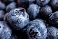 Bowl of Blueberries