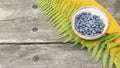 Bowl with blueberries on a wooden table with napkin, fern leaf and copy space