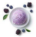 Bowl of blueberry and blackberry ice cream scoop Royalty Free Stock Photo