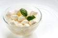 Bowl of Bocconcini mozzarella with fresh basil Royalty Free Stock Photo