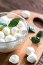 Bowl of Bocconcini mozzarella with fresh basil